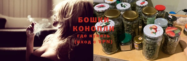 сатива Вяземский