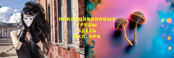 ПСИЛОЦИБИНОВЫЕ ГРИБЫ Вязьма