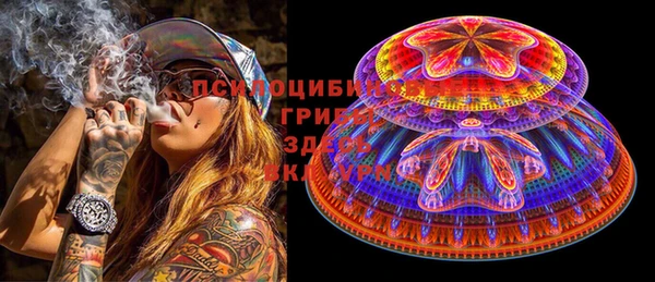 сатива Вяземский
