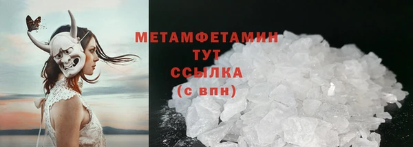 сатива Волоколамск
