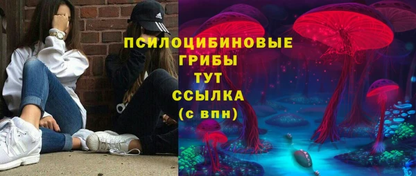 амф Володарск