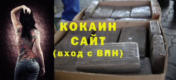 сатива Волоколамск