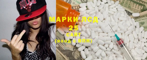 ПСИЛОЦИБИНОВЫЕ ГРИБЫ Вязьма