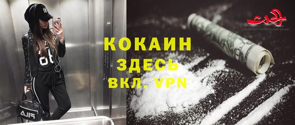 сатива Волоколамск