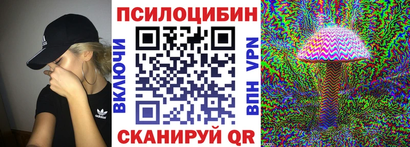 блэк спрут как войти Электрогорск Псилоцибиновые грибы мухоморы